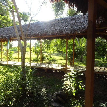 Sotupa Eco House Hostel Puerto Maldonado Ngoại thất bức ảnh
